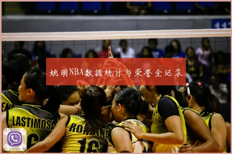 姚明NBA数据统计与荣誉全记录